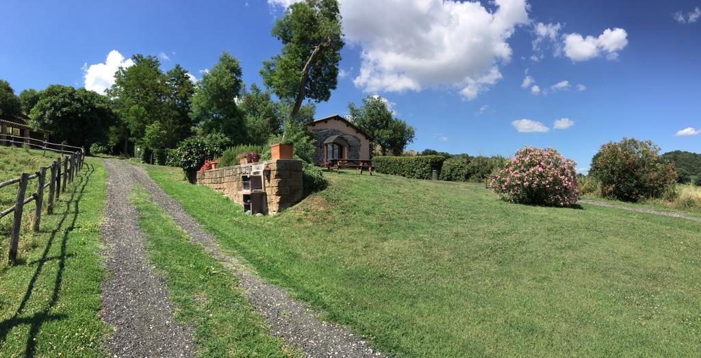 Il Castoro Di Martignano Villa Anguillara Sabazia Bagian luar foto